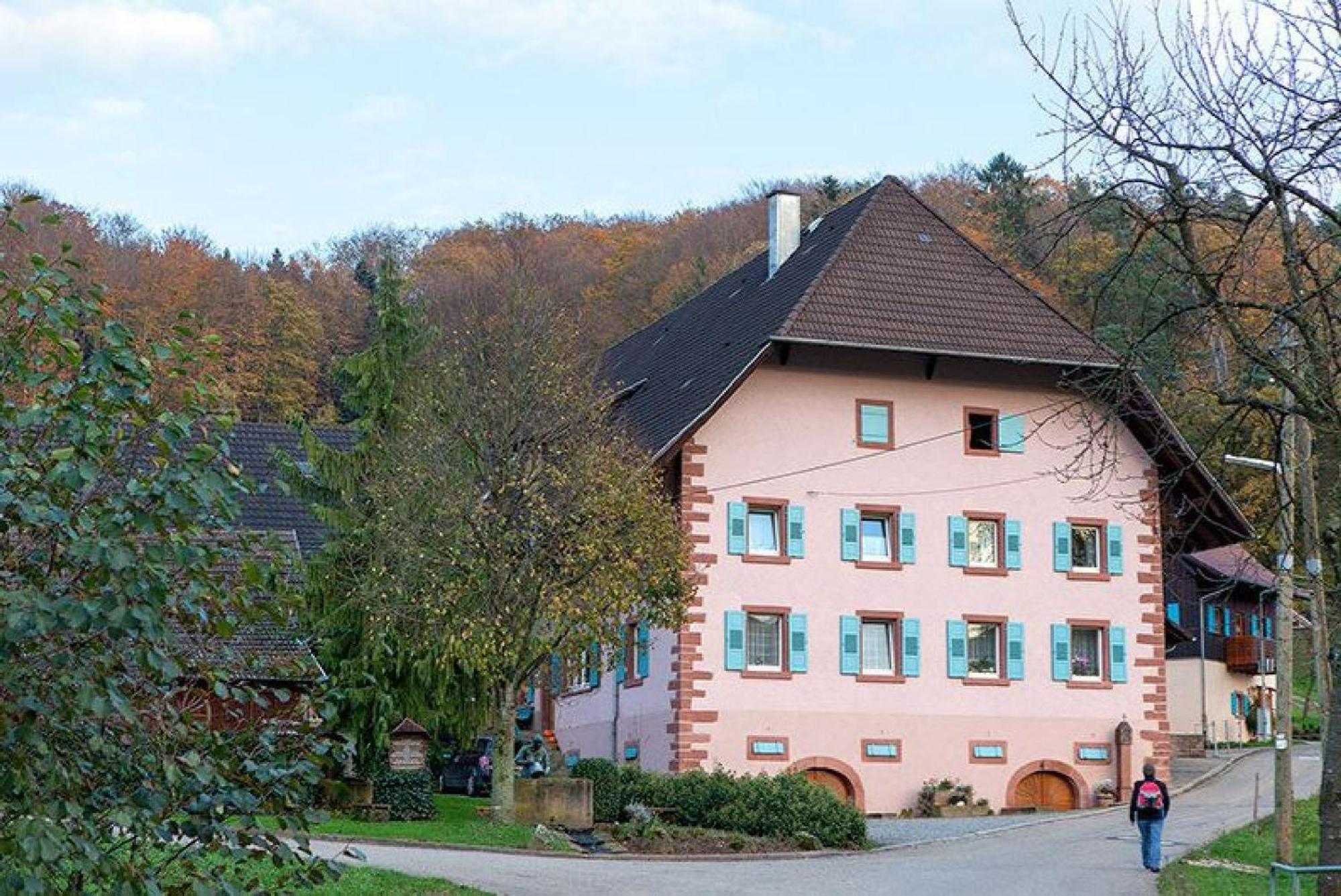 Ziegelhof Apartment Schuttertal Ngoại thất bức ảnh